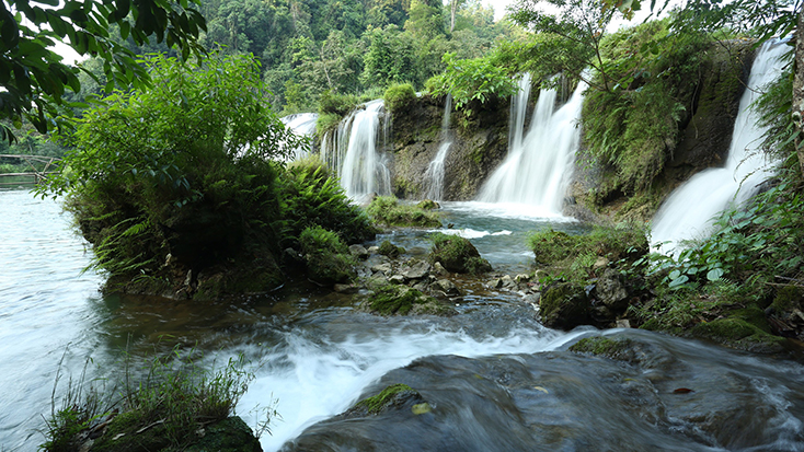 ảnh hiển thị