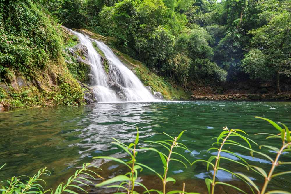 ảnh hiển thị